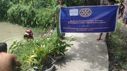 Plantation Drive